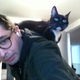 Illustration for article titled This Cat Wont Stop Sitting on My Shoulder Like a Parrot